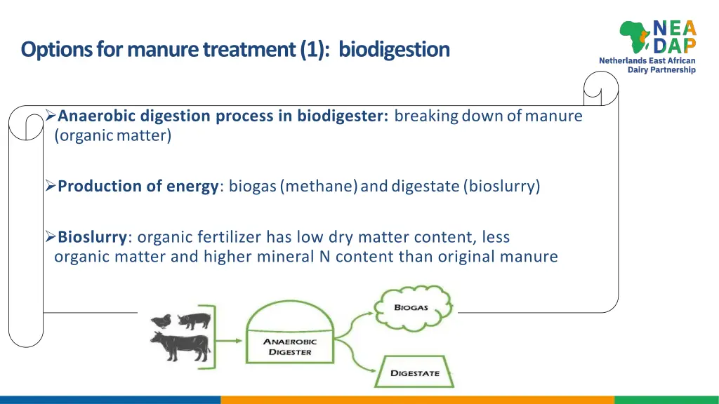 options formanure treatment 1 biodigestion