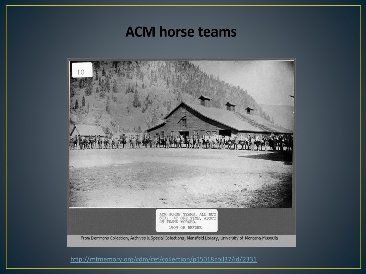 acm horse teams