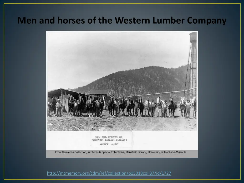 men and horses of the western lumber company