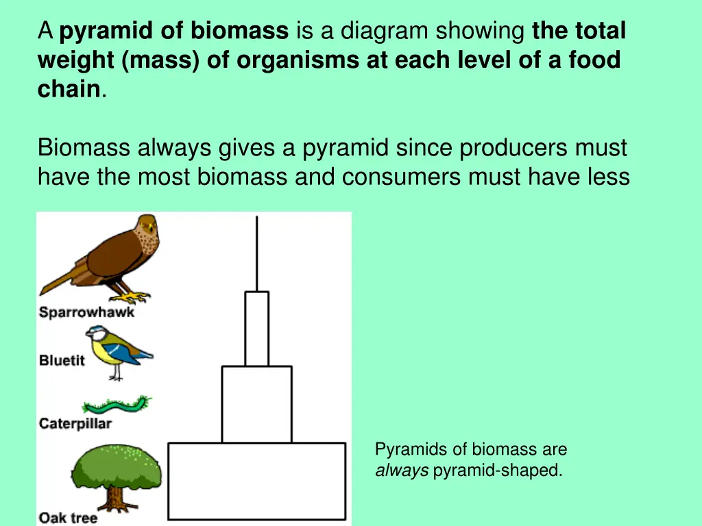 a pyramid of biomass is a diagram showing