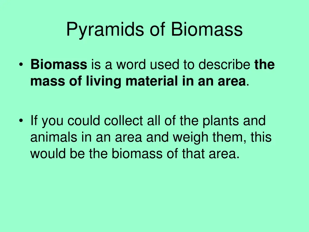 pyramids of biomass