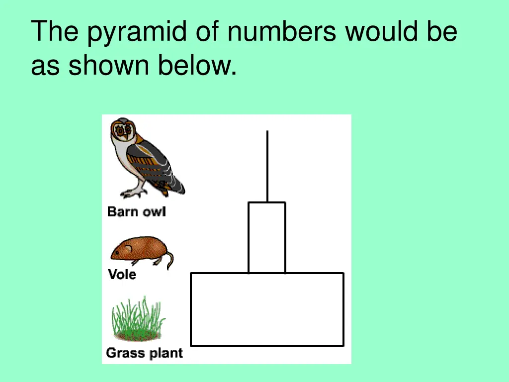 the pyramid of numbers would be as shown below