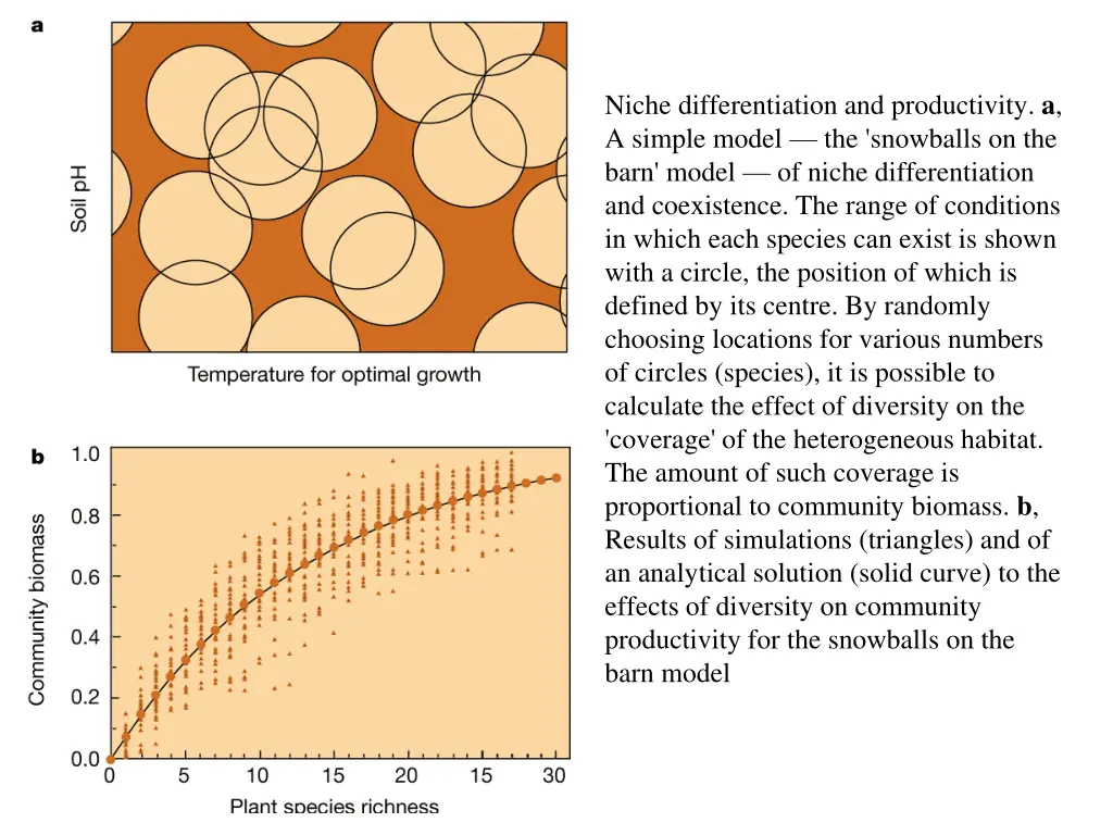 niche differentiation and productivity a a simple