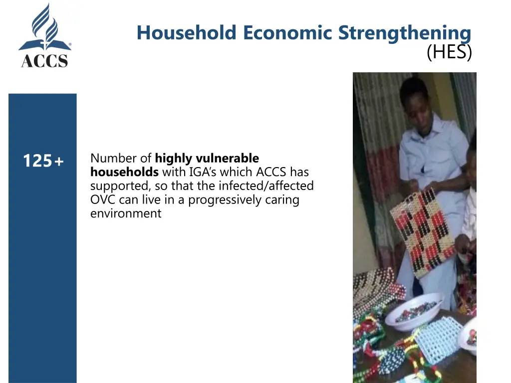 household economic strengthening 1