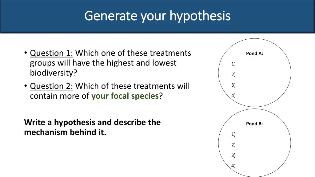 generate your hypothesis generate your hypothesis