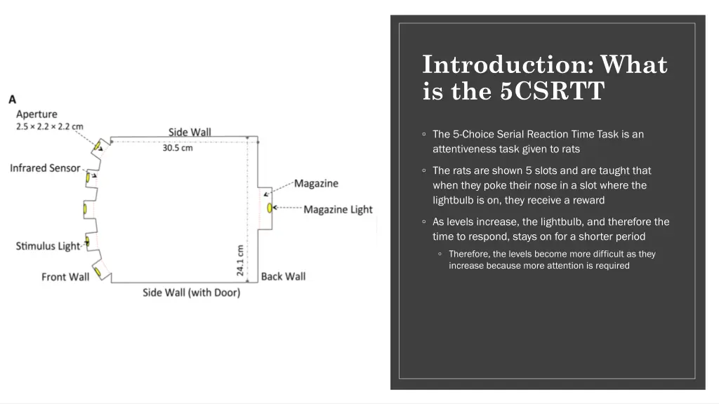 introduction what is the 5csrtt