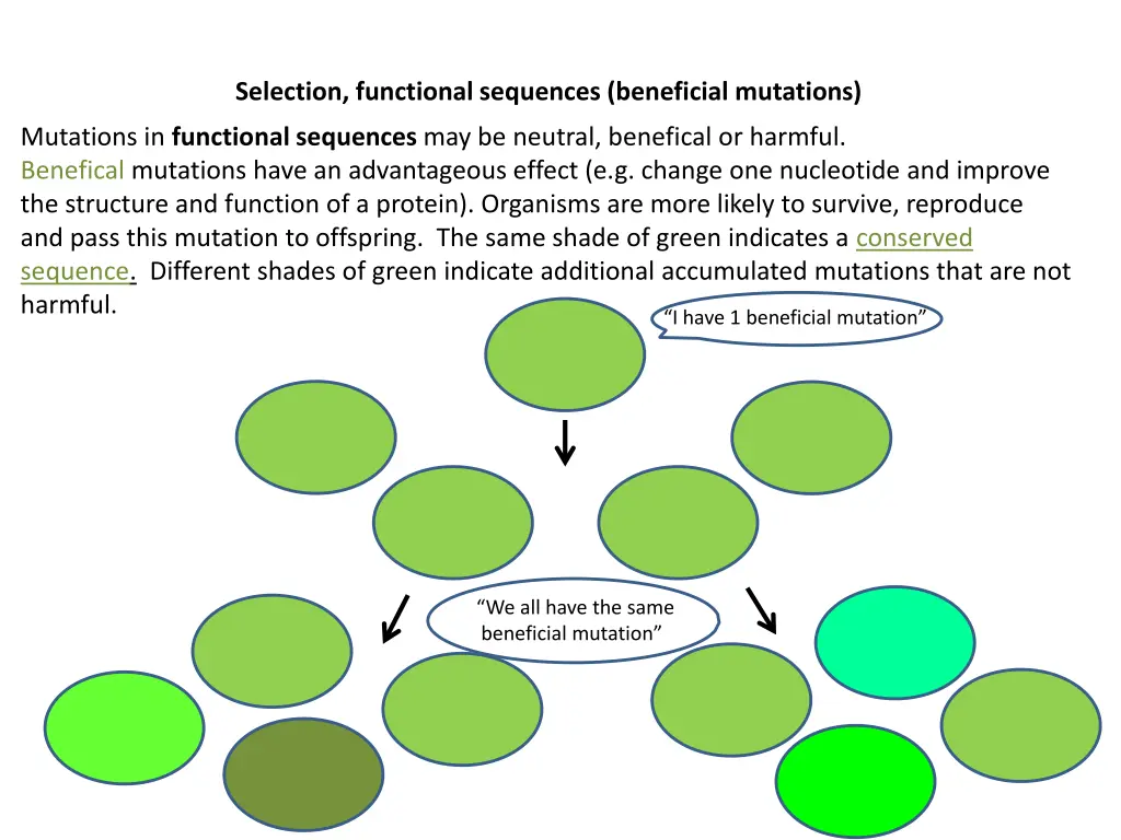 selection functional sequences beneficial