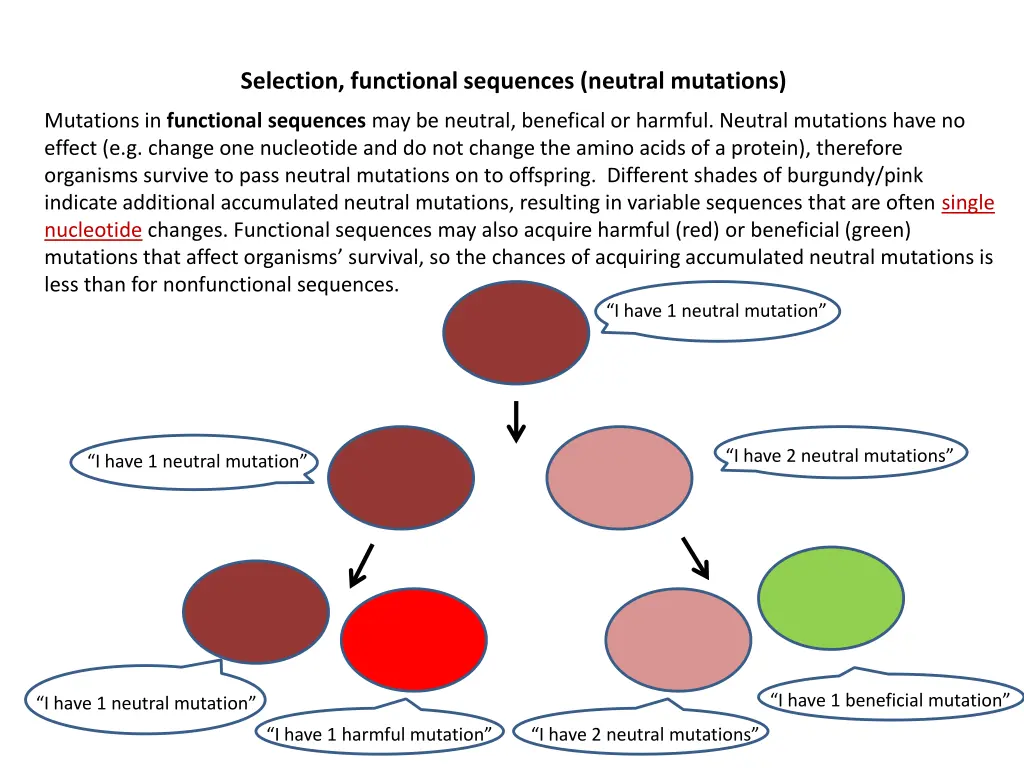 selection functional sequences neutral mutations