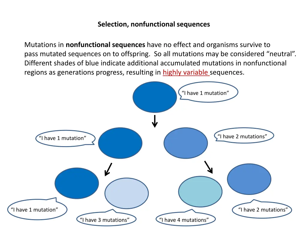 selection nonfunctional sequences