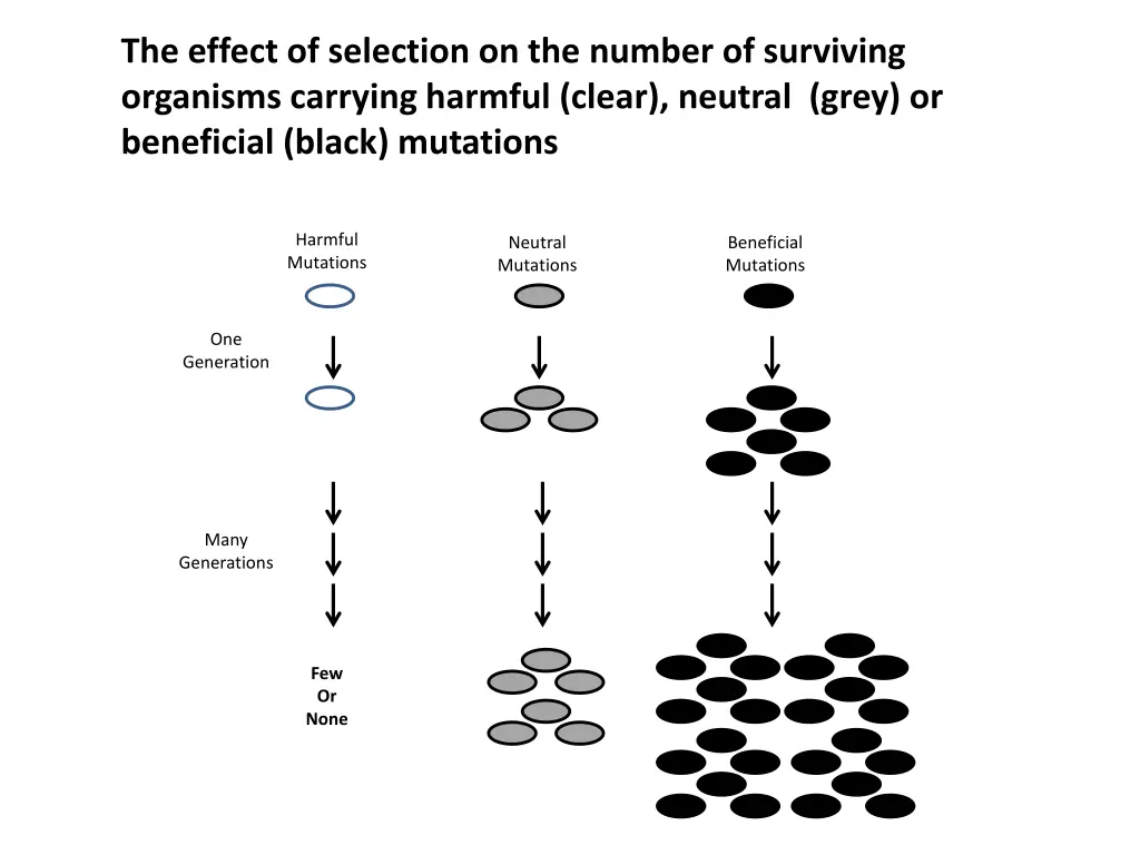 the effect of selection on the number