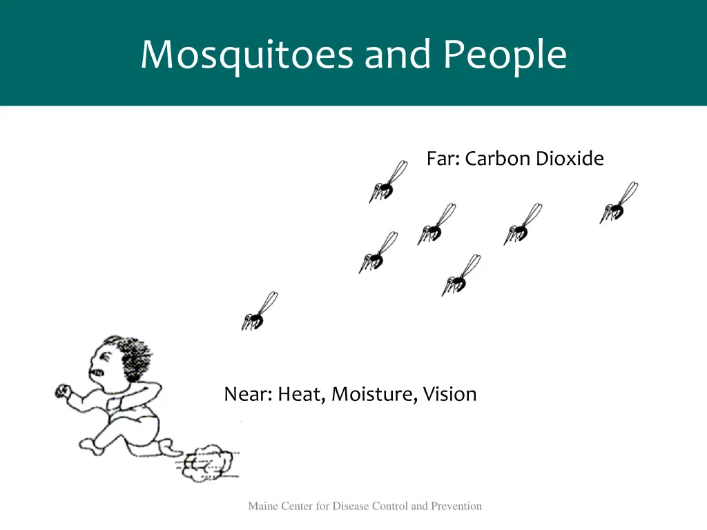 mosquitoes and people