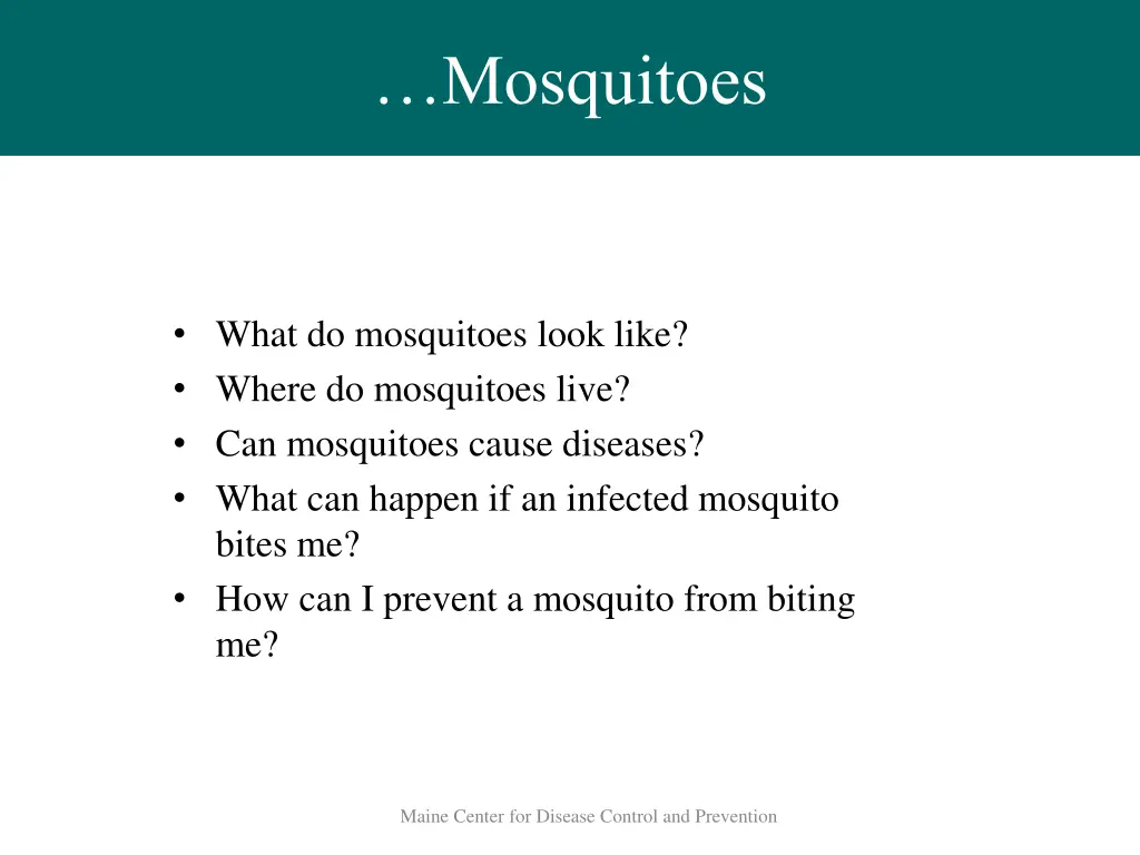 mosquitoes