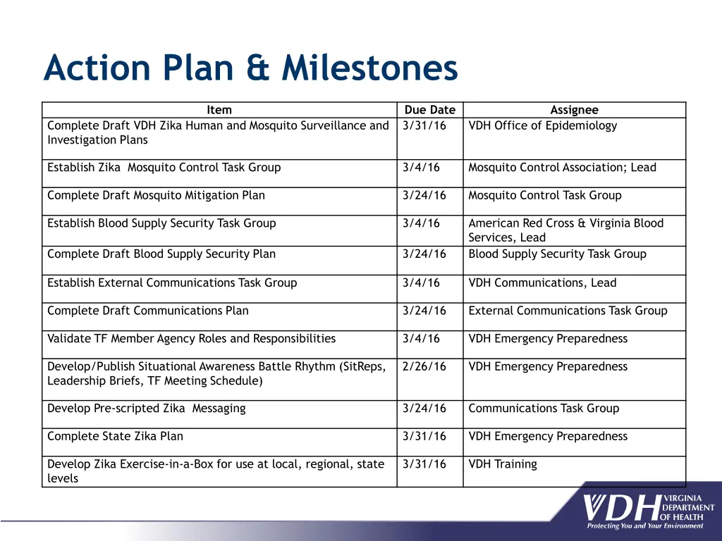 action plan milestones