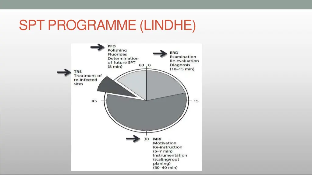 spt programme lindhe