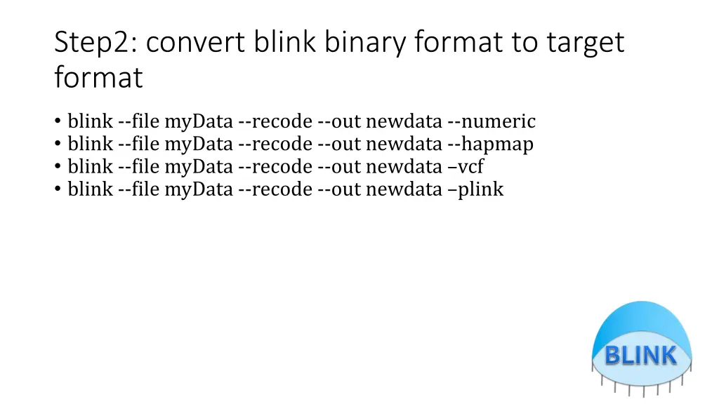 step2 convert blink binary format to target format