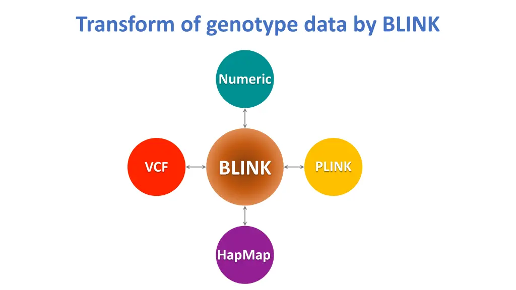 transform of genotype data by blink