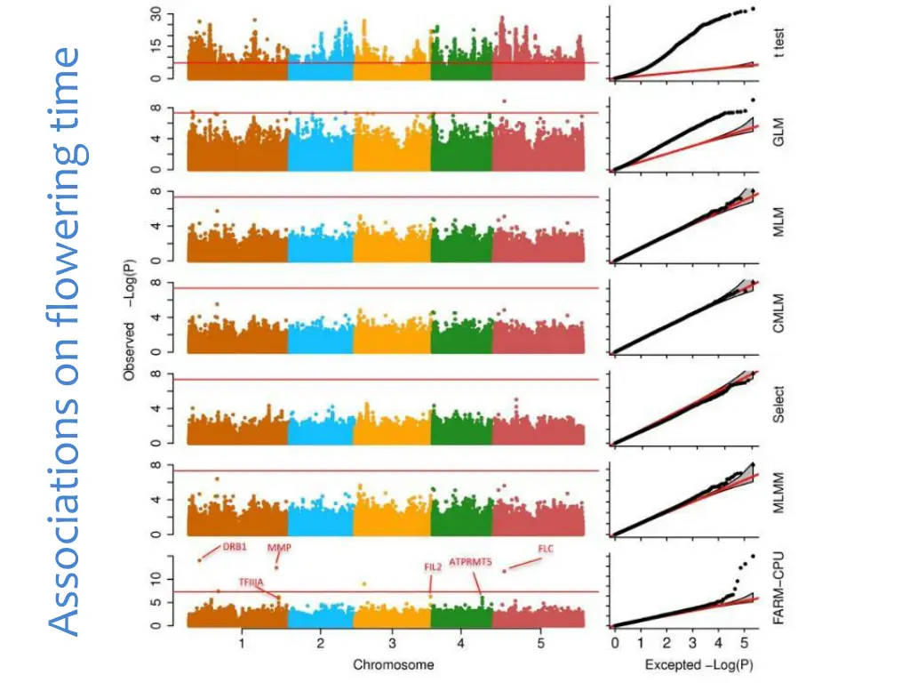 associations on flowering time