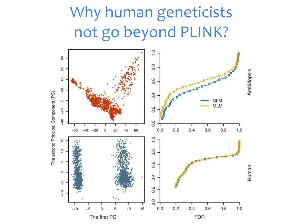 why human geneticists not go beyond plink