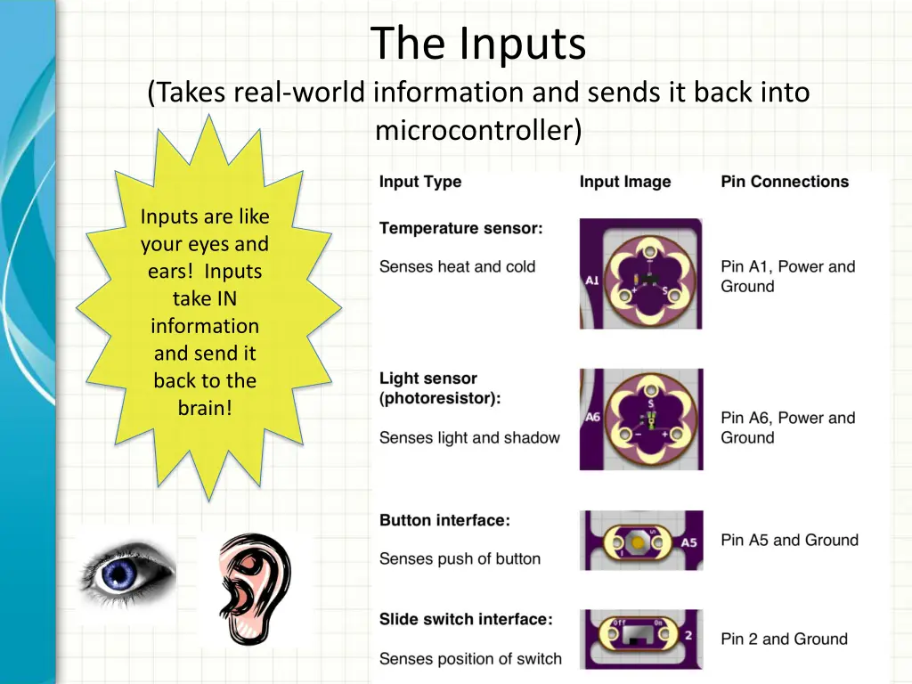 the inputs