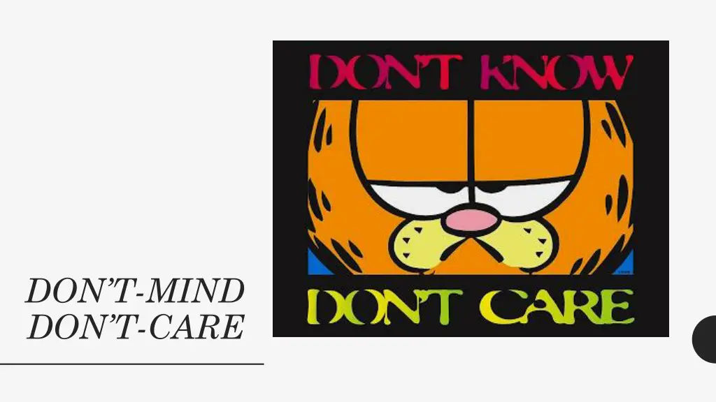 don t mind don t care