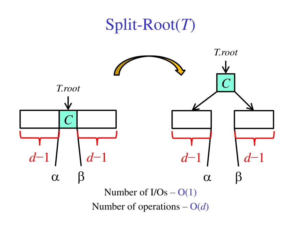 split root t