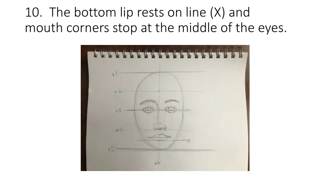 10 the bottom lip rests on line x and mouth