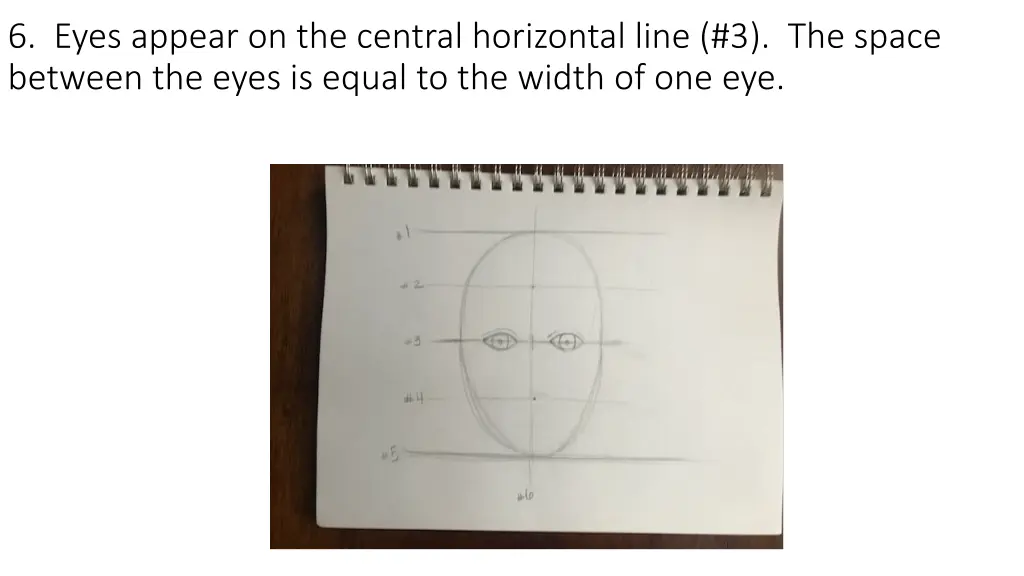 6 eyes appear on the central horizontal line