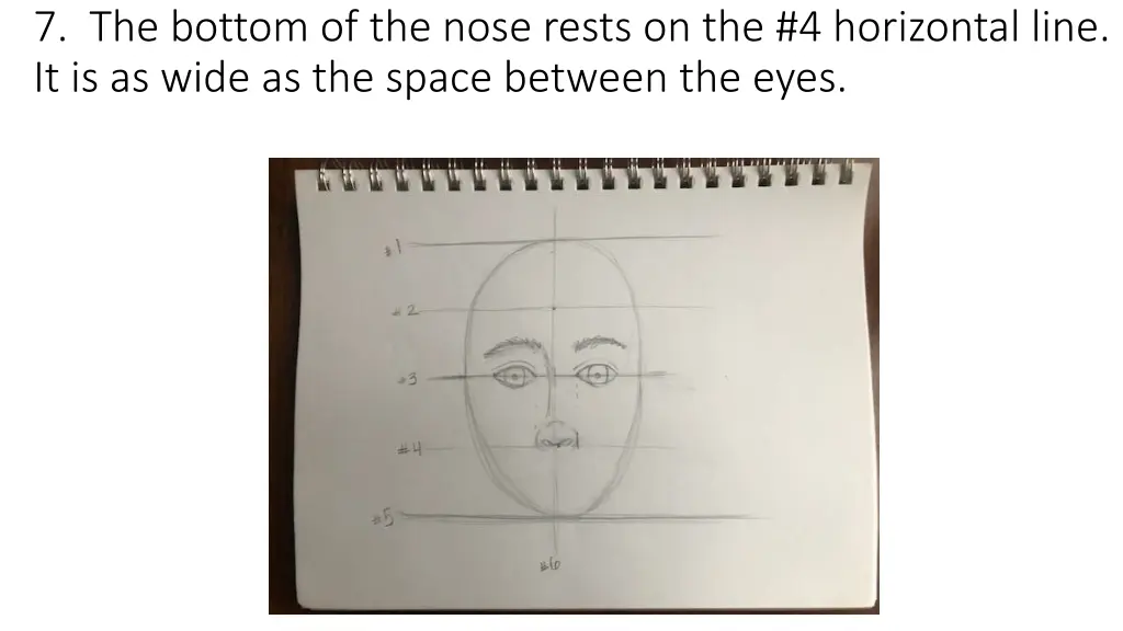 7 the bottom of the nose rests