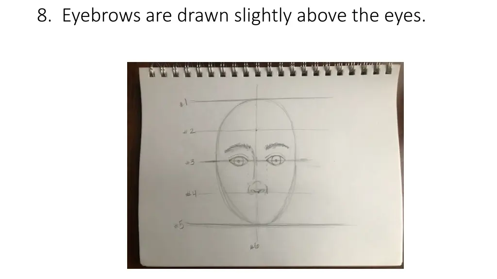 8 eyebrows are drawn slightly above the eyes