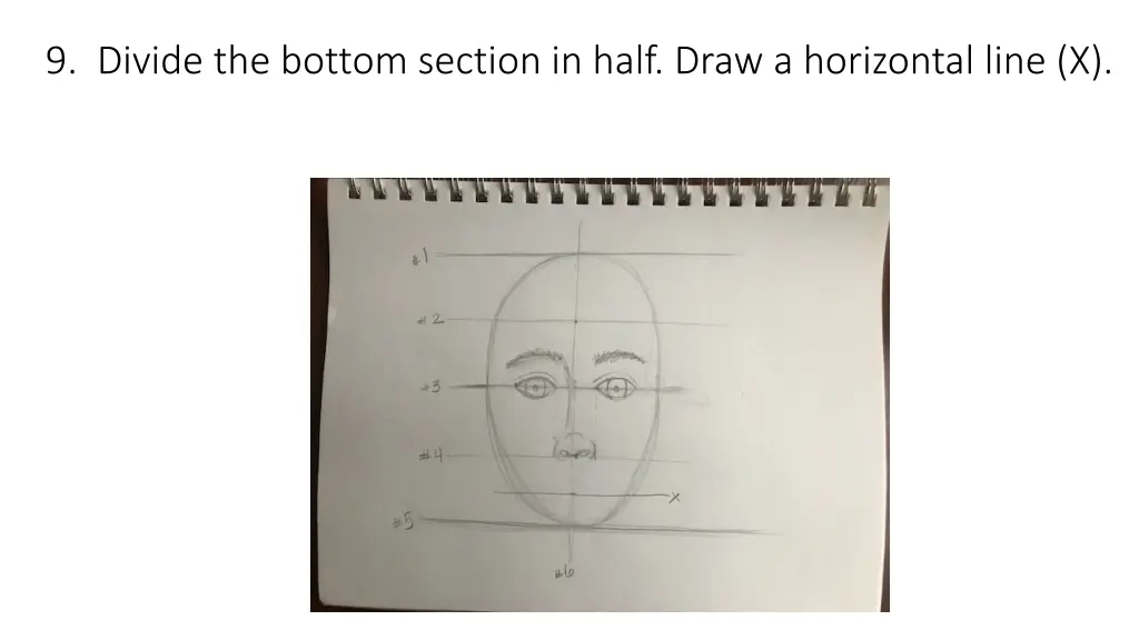 9 divide the bottom section in half draw