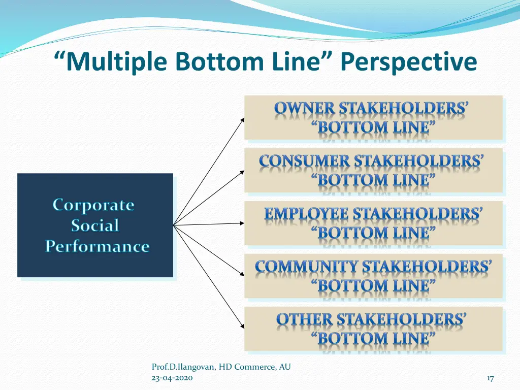 multiple bottom line perspective