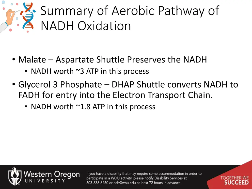 summary of aerobic pathway of nadh oxidation