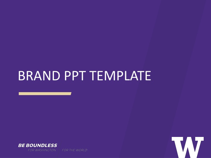 brand ppt template