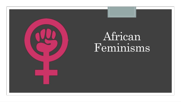 african feminisms