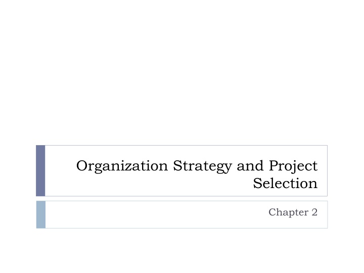 organization strategy and project