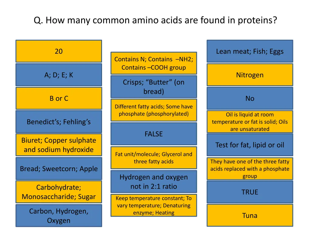 q how many common amino acids are found