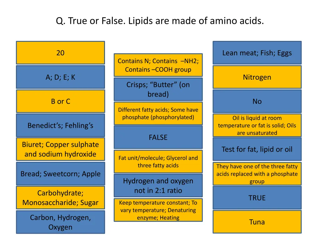 q true or false lipids are made of amino acids