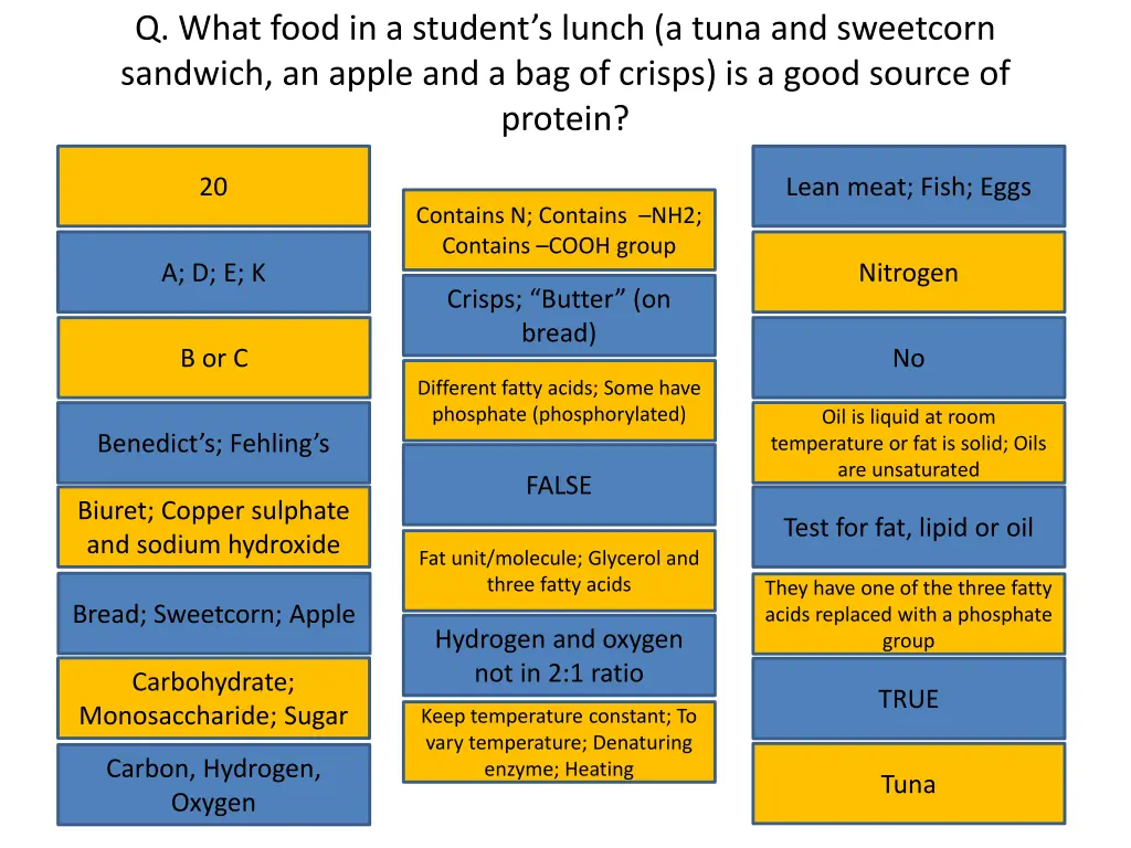 q what food in a student s lunch a tuna