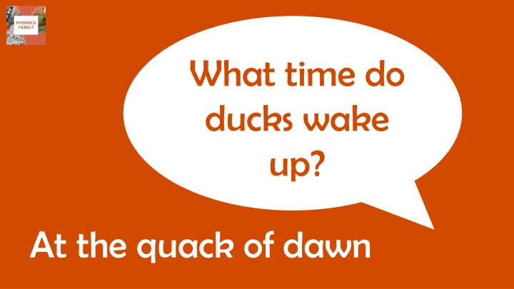 what time do ducks wake up