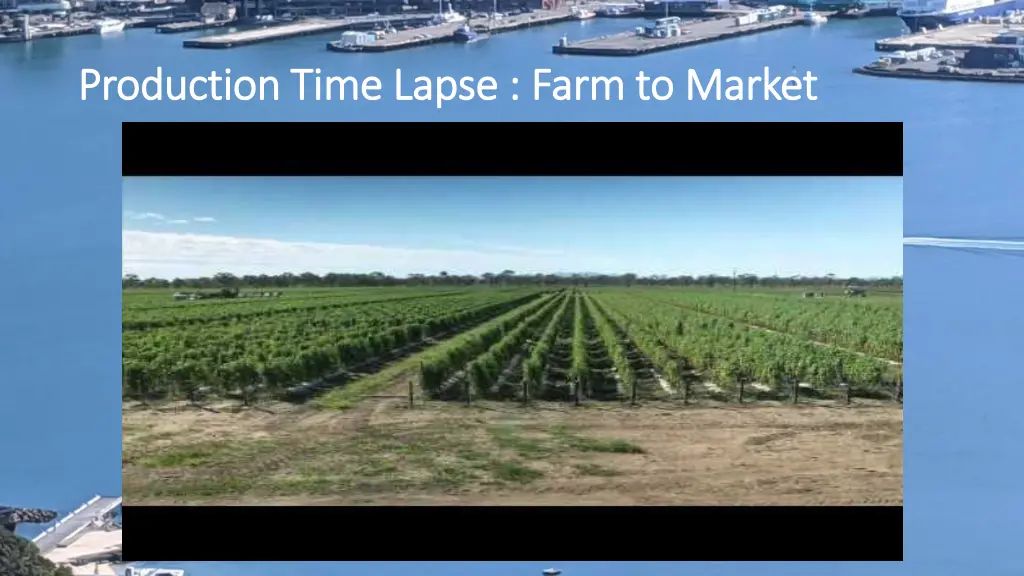 production time lapse farm to market production