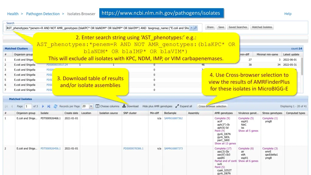 https www ncbi nlm nih gov pathogens isolates