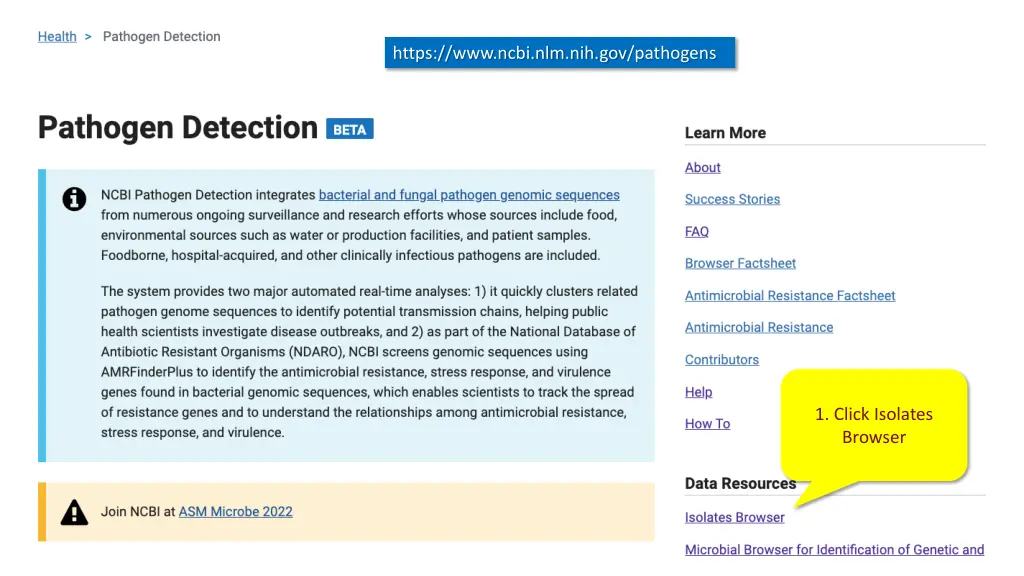 https www ncbi nlm nih gov pathogens