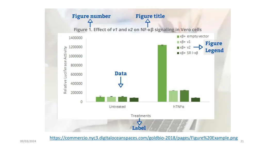 https commercio nyc3 digitaloceanspaces