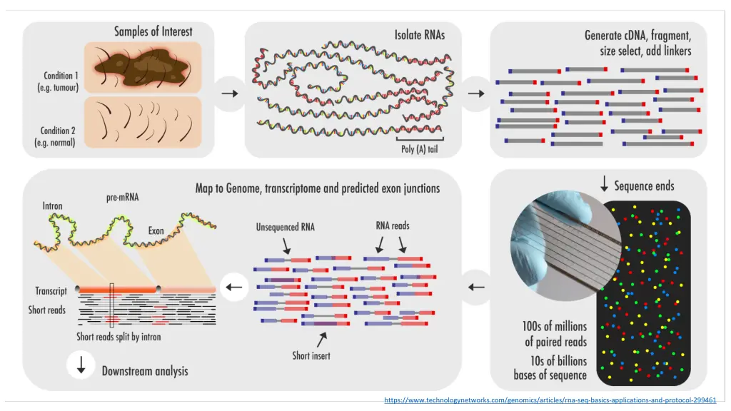 https www technologynetworks com genomics