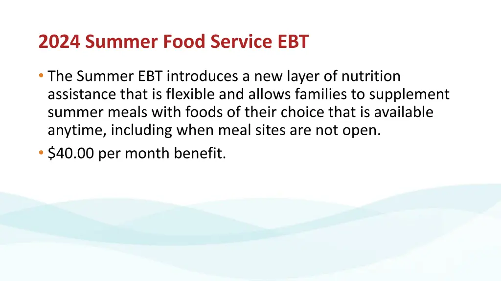 2024 summer food service ebt