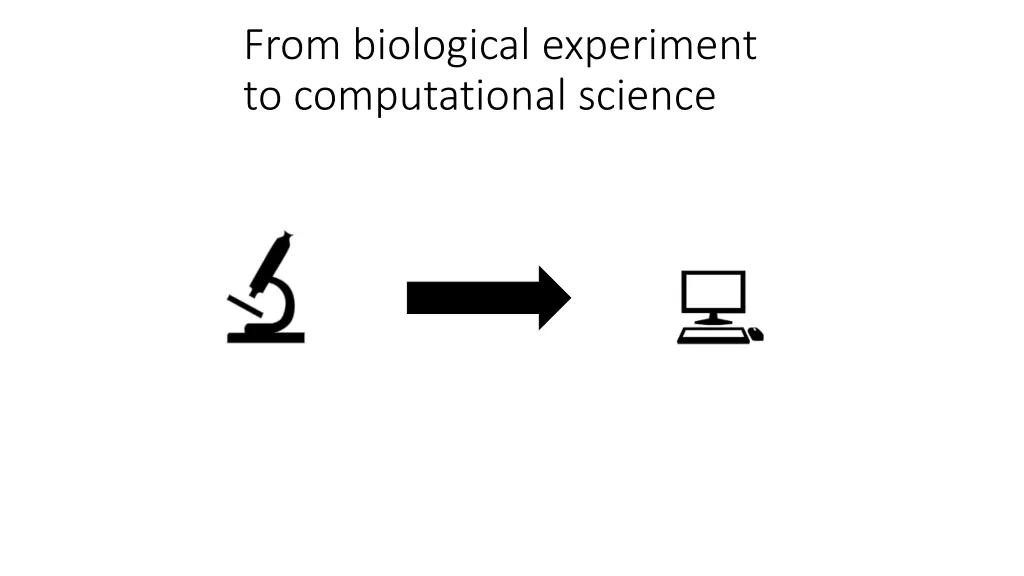 from biological experiment to computational