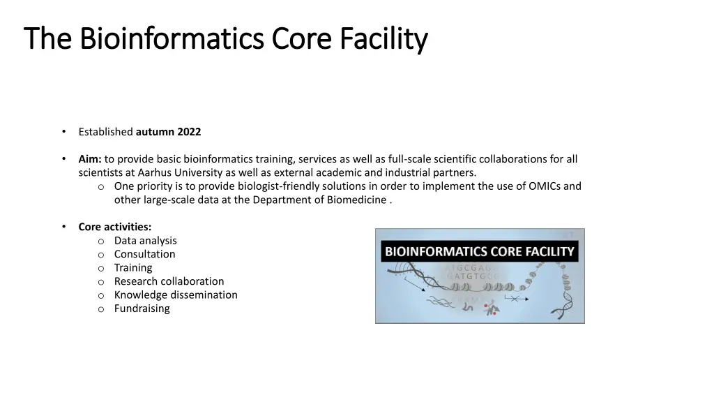 the bioinformatics core facility