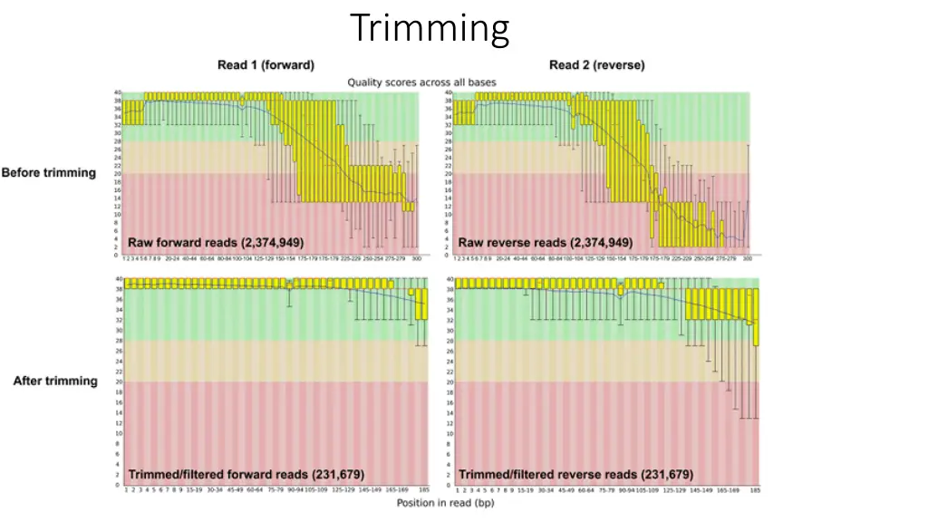 trimming