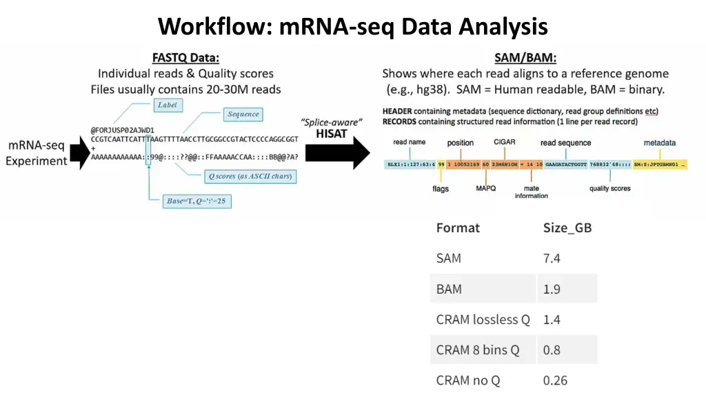 workflow mrna seq data analysis 1