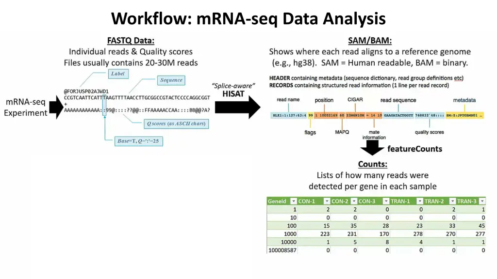 workflow mrna seq data analysis 2